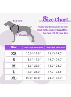 Rabbitgoo Dog Harness No Pull with 2 Leash Clips, Adjustable Soft Padded, Reflective Oxford No Choke Pet Vest with Easy Control Handle for Puppy, Purple,XS  - Image 2