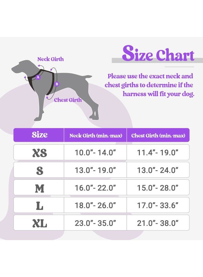 Rabbitgoo Dog Harness No Pull with 2 Leash Clips, Adjustable Soft Padded, Reflective Oxford No Choke Pet Vest with Easy Control Handle for Puppy, Purple,XS - Image 2