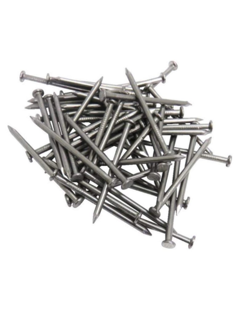 High Strength Round Head Nails For Carpentry Hardware Electrical Etc (50, 6 inch) - Image 1