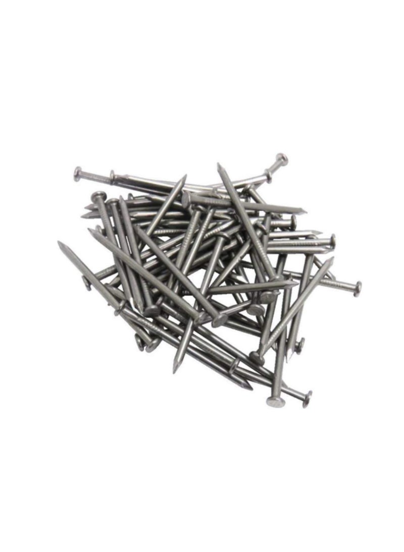 High Strength Round Head Nails For Carpentry Hardware Electrical Etc (50, 6 inch) - Image 2