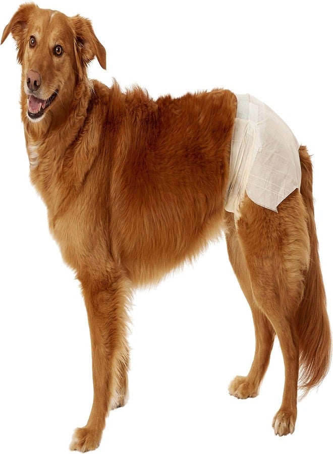 Dogit Disposable Diapers, X-Large, 12-Pack - Image 2