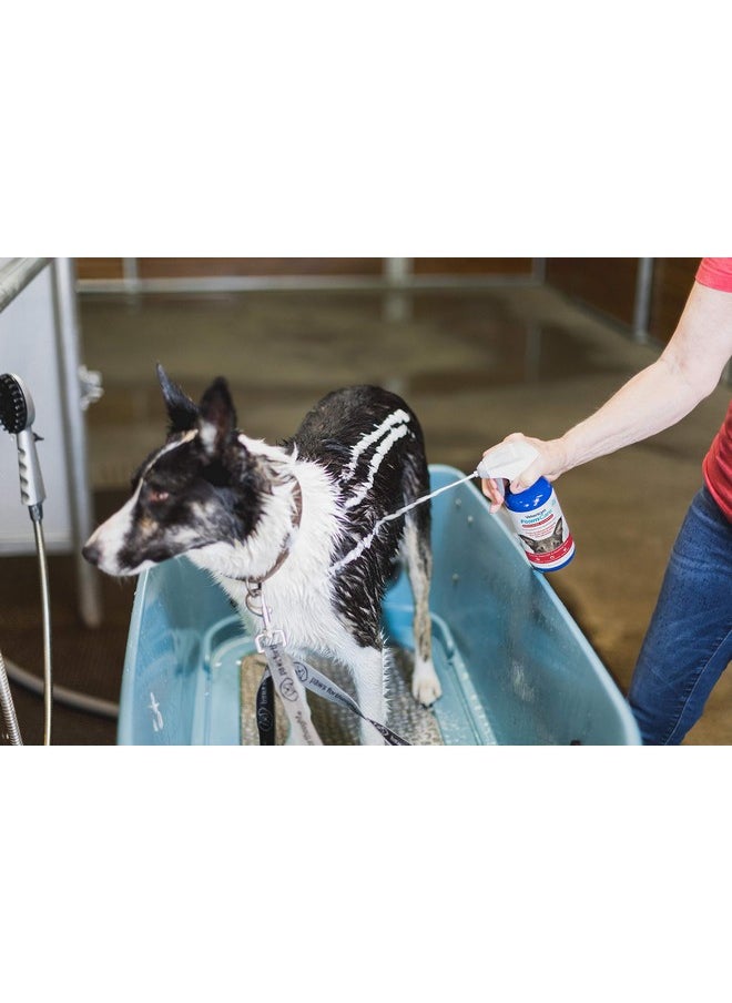 Vetericyn Foamcare Medicated Pet Shampoo By Vetericyn | Sensitive Skin Shampoo For Dogs, Cats, And All Animals  AntiItch, Promotes Healthy Skin And Coat  Hypoallergenic  Instant Foam Shampoo  16Ounce  - Image 2