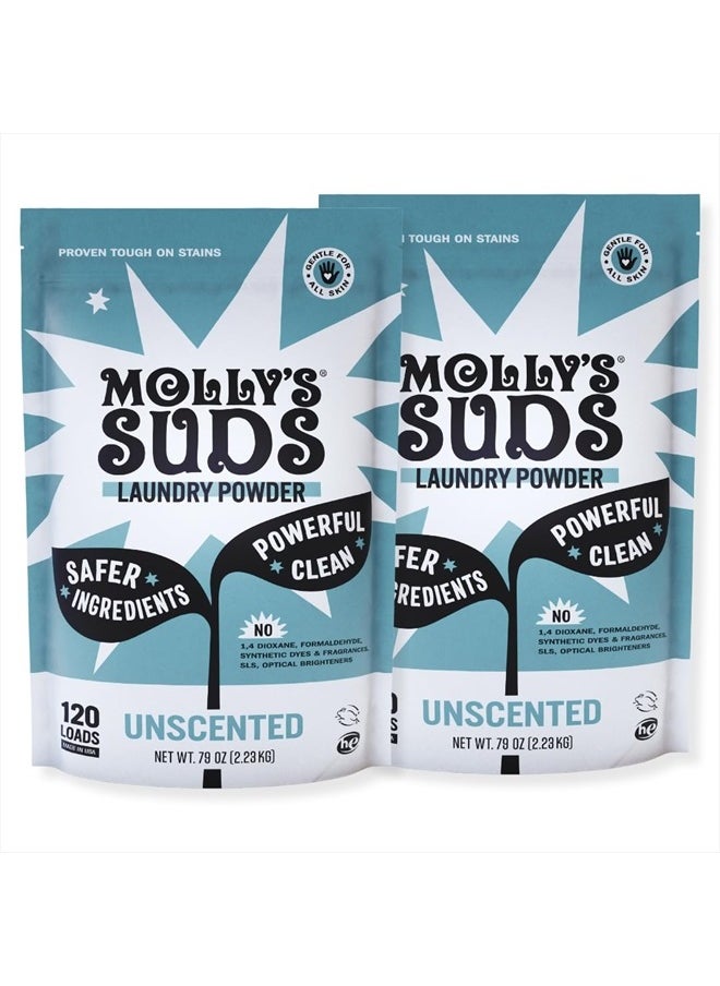 MOLLY'S SUDS Original Laundry Detergent Powder | Natural Laundry Detergent Powder for Sensitive Skin | Earth-Derived Ingredients, Stain Fighting | 240 Loads (Unscented)  - Image 1