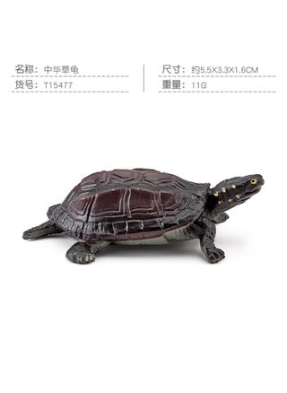 T15477 Chinese turtle 11g
