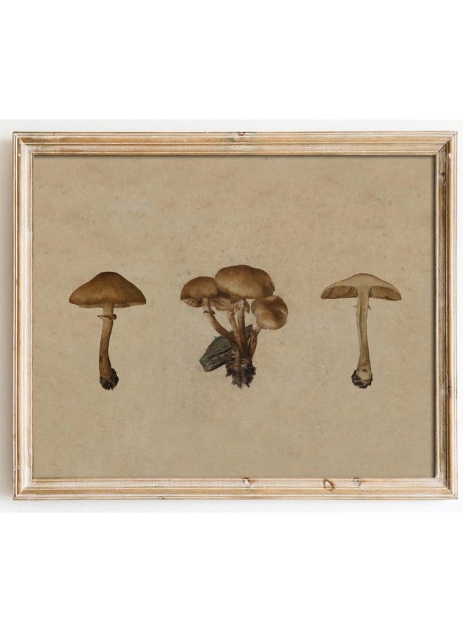 Kizbok Vintage Mushroom Wall Art Poster, Farmhouse Mushroom Wall Decor, Retro Botanical Paintings Cottagecore Room Decor Aesthetic, Neutral Earthy mushroom Picture for Kitchen Bedroom Gallery Nursery - Image 1