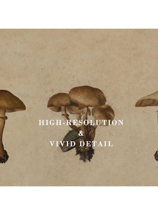 Kizbok Vintage Mushroom Wall Art Poster, Farmhouse Mushroom Wall Decor, Retro Botanical Paintings Cottagecore Room Decor Aesthetic, Neutral Earthy mushroom Picture for Kitchen Bedroom Gallery Nursery - Image 2