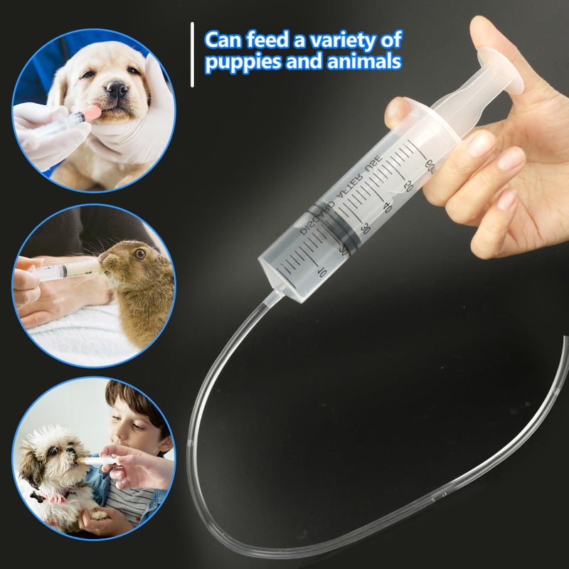 Pinleita 6pc Syringe Kit - 1ml, 5ml, 10ml, 20ml, 30ml, 60ml Plastic Syringes with Caps for Measuring Liquids in Science Labs, Plant Watering, Pet Feeding - Image 5