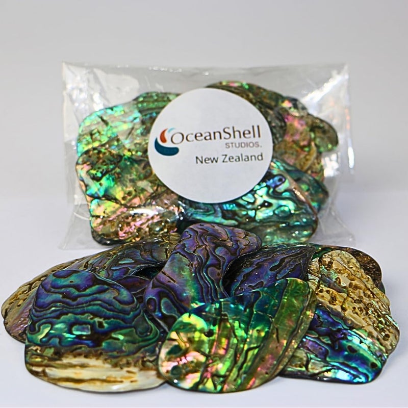 Abalone Pua Shell Pieces265oz Packfor Crafts Jewelry Making Resin Art Inlay Home Decorations Fishtank Supplies DIY Projects  Satin Large Size 159 255 4065 mm 265oz 75grams