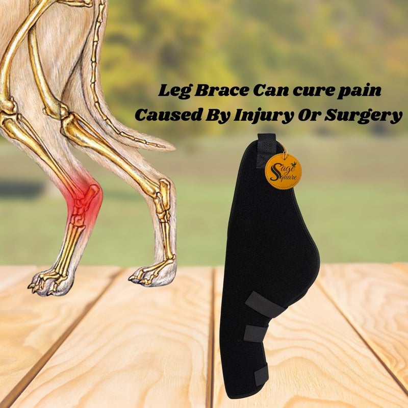 Sage Square Dog Disability Leg Support for Injured, Disabled, Elderly Dogs | Rear & Front Leg Brace for Mobility Assistance, Arthritis, Weakness, Post-Surgery Support | Comfortable Daily Use | Left - Image 5