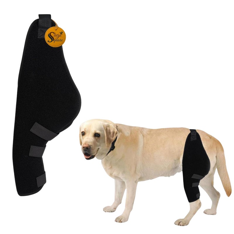 Sage Square Dog Disability Leg Support for Injured, Disabled, Elderly Dogs | Rear & Front Leg Brace for Mobility Assistance, Arthritis, Weakness, Post-Surgery Support | Comfortable Daily Use | Left - Image 1