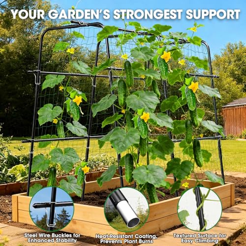 MQUPIN Cucumber Trellis for Raised Bed and Garden, 47" H x 47" W U-Shaped Metal Garden Trellis for Climbing Plants with Nylon Netting, Vegetable Support Frame - Image 3