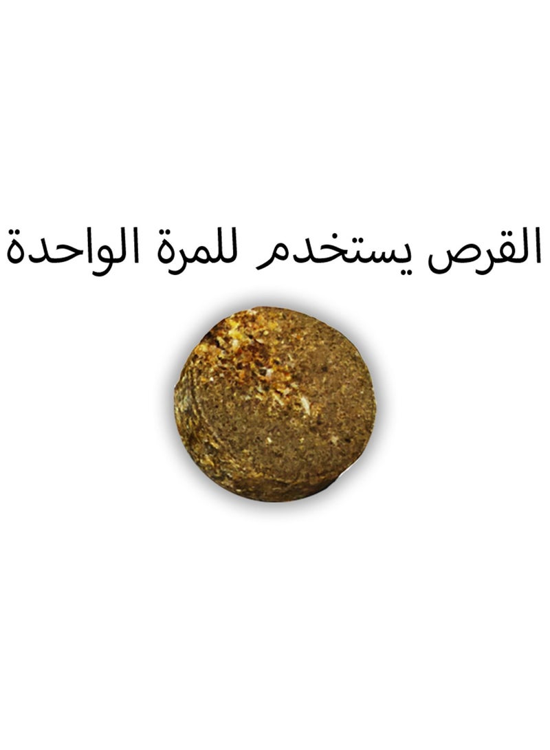 الروضة مصيدة ذباب عالية الجودة للاماكن المفتوحة فقط مع قرص فيرمون شديد الفعالية - Image 5