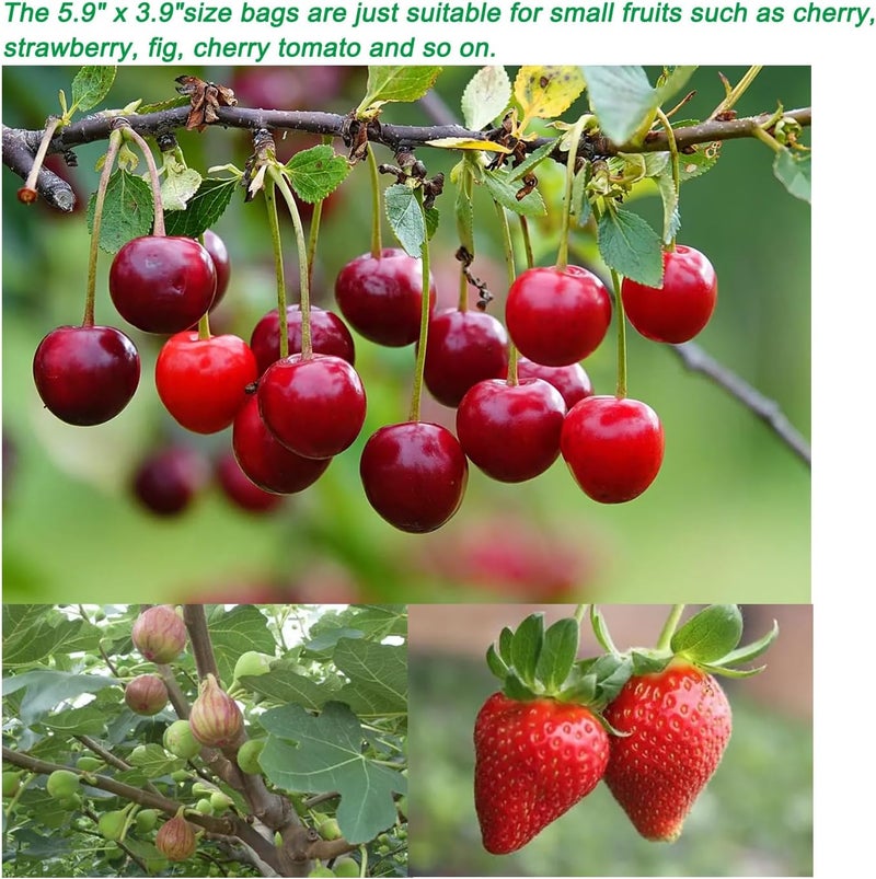 Miuezuth 50PCS Fruit Protection Bags,7x5'' Green Netting Bags for Fruit Trees, Garden Fruit Cover Mesh Bags with Drawstring for Plant Fruit Flower and Vegetables - Image 2
