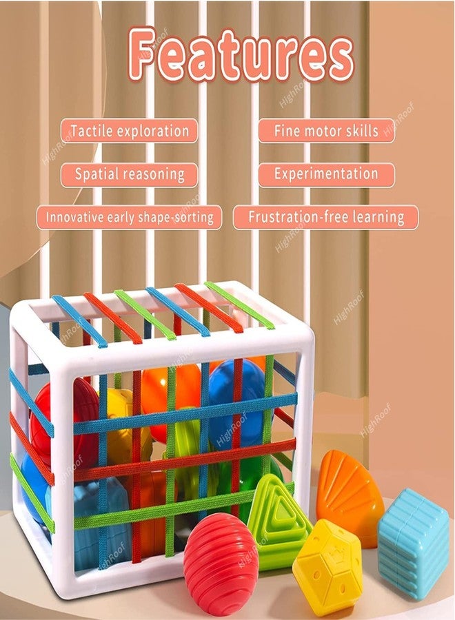 HighRoof Baby Shape Sorter Toys for 1 Year Old,Baby Sorter Toy Colorful Cube and Multi Sensory Shape,Learning Activity for Fine Motor Skills,Birthday Gifts for Girls Boys (12 Pcs Block) - Image 5