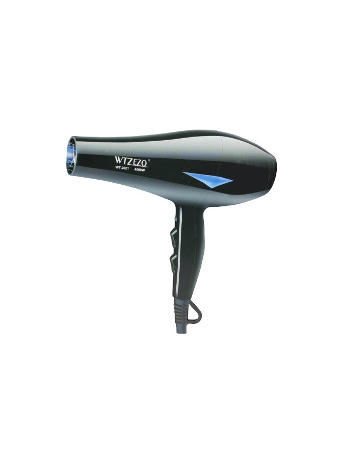 WTZEZO WT-2021 Professional Hair Dryer - 4000W High Power Blow Dryer - Image 1