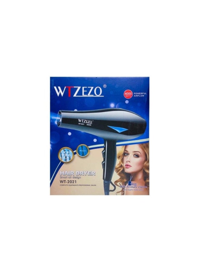 WTZEZO WT-2021 Professional Hair Dryer - 4000W High Power Blow Dryer - Image 2