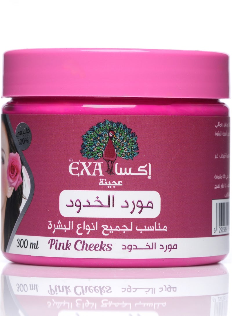 إكسا عجينة مورد الخدود مناسب لجميع أنواع البشرة 300  ملي - Image 3
