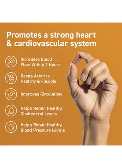 CocoaVia Cardio Health Supplement, 30 Day, 500Mg Cocoa Flavanols, Support Heart Health, Boost Nitric Oxide, Blood Circulation, Energy, Vegan, Dark Chocolate, 60 Capsules  - Image 2