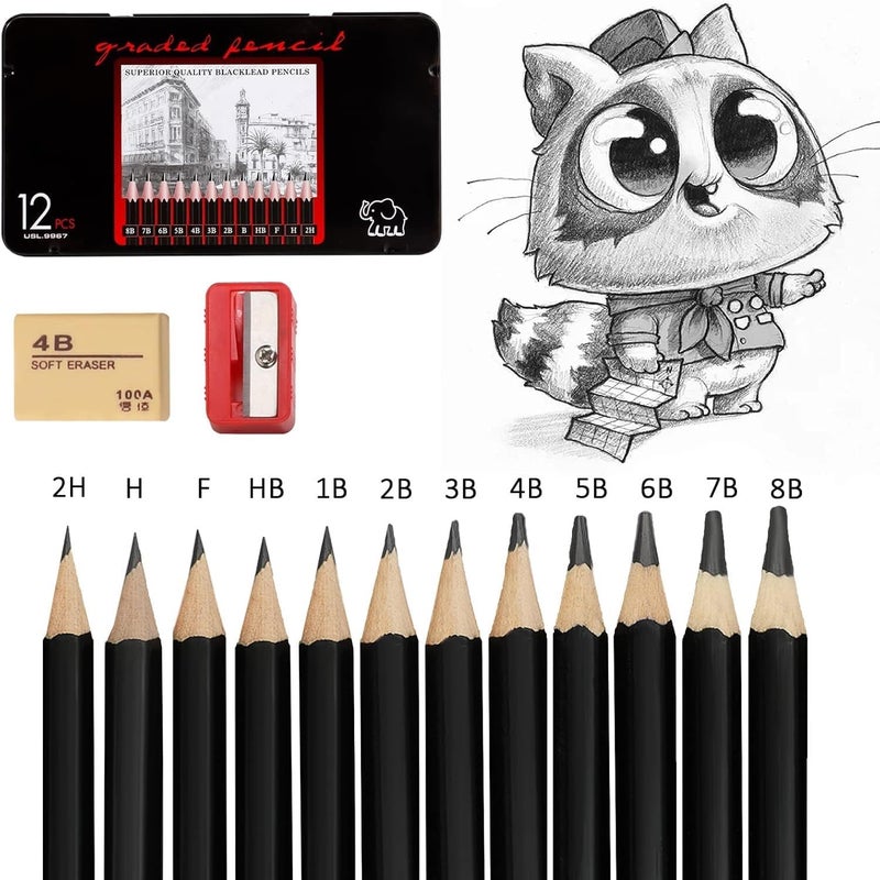 PAXCOO PAXCOO Set of 12 Pcs Professional Drawing Sketching Pencil Drawing Art Pencils Graphite Shading Pencils for Beginners & Pro Artists Professional Sketch,Suitable for Art Design, Shading, Adults & Kid  - Image 4