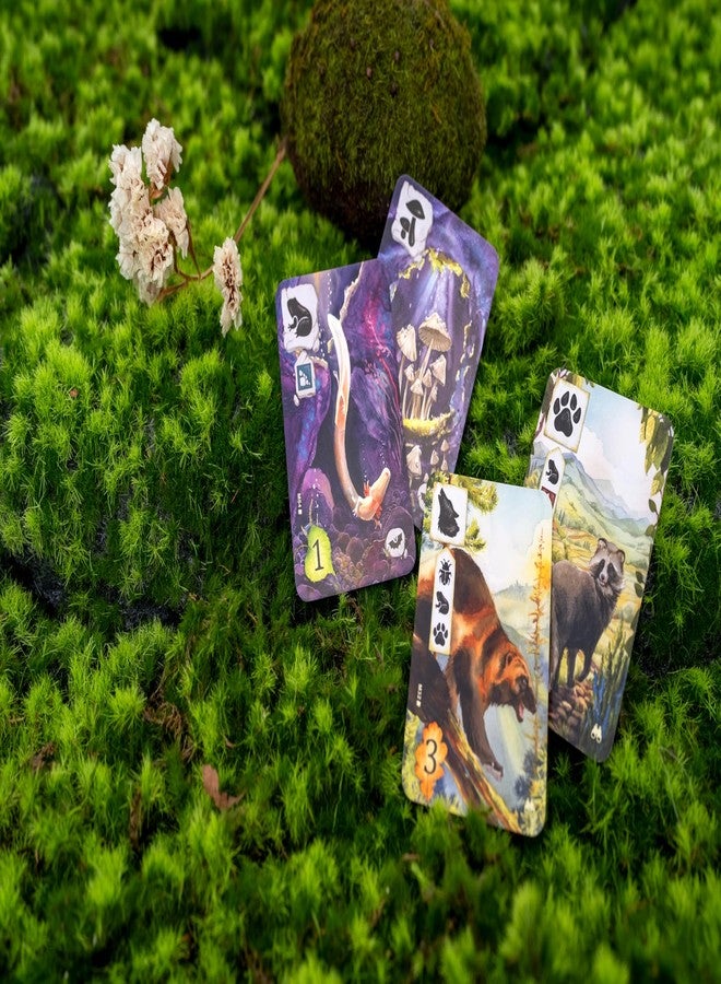 Rebel Meadow Adventure Book - Innovative Board Game Expansion with Watercolor Illustrations - Explore Nature Through Unique Scenarios! Ages 10+, 1-4 Players, 60-90 Minute Playtime, Made by Rebel Studio - Image 4