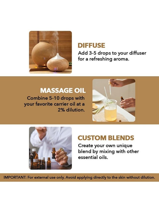 Majestic Pure Frankincense Essential Oil | 100% Pure And Natural Oil | Premium Grade Essential Oils For Hair Care, Home Diffusers, Skin, Aromatherapy, Massage And Humidifiers | 3.4 Fl Oz - Image 3