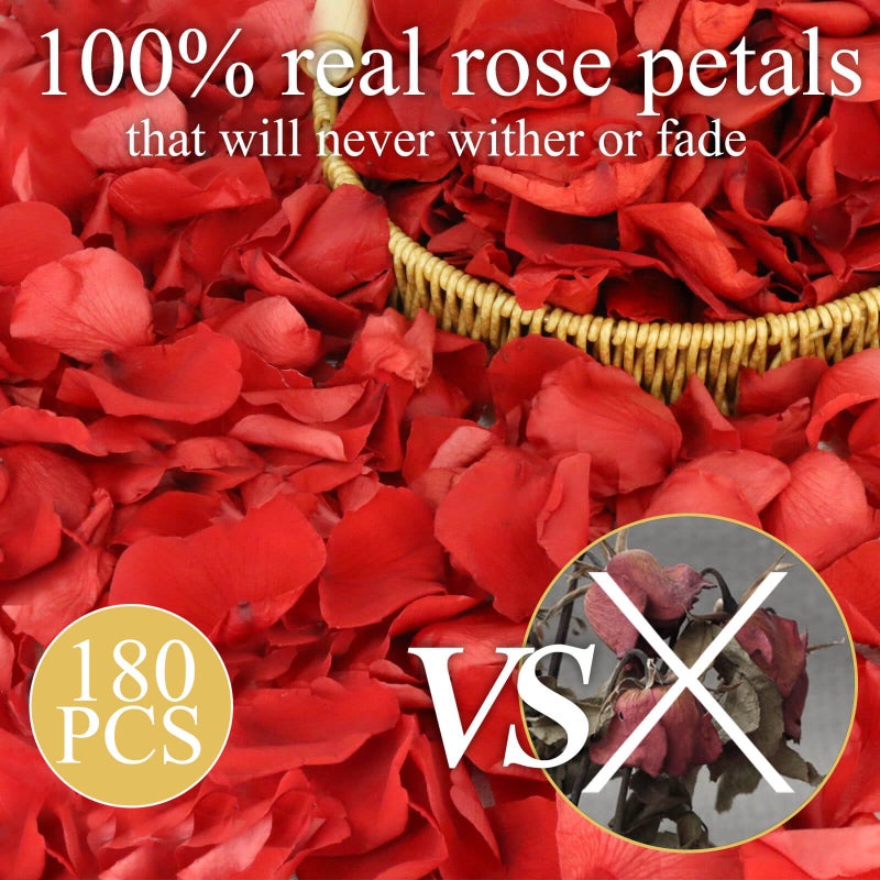 Koceko Dried Real Red Rose Petals  Preserved Flower Petals 1.75oz for Valentine's Day Gifts Wedding Party Decor  Flower Girl  Dinner Table Centerpieces  Bridal Shower  Flower Confetti 50g - Image 3
