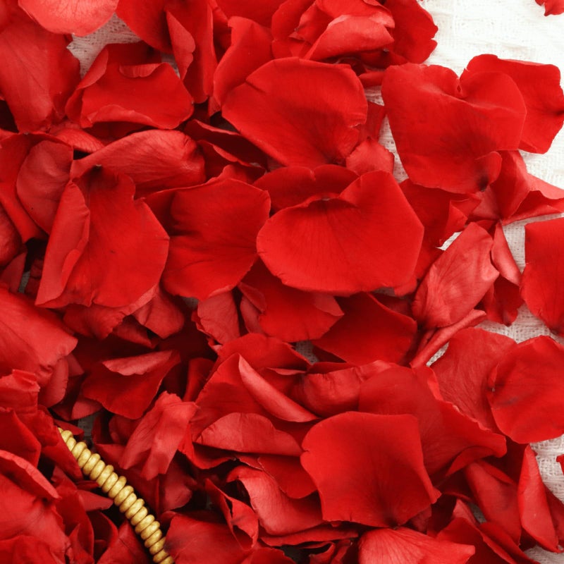 Koceko Dried Real Red Rose Petals  Preserved Flower Petals 1.75oz for Valentine's Day Gifts Wedding Party Decor  Flower Girl  Dinner Table Centerpieces  Bridal Shower  Flower Confetti 50g - Image 1