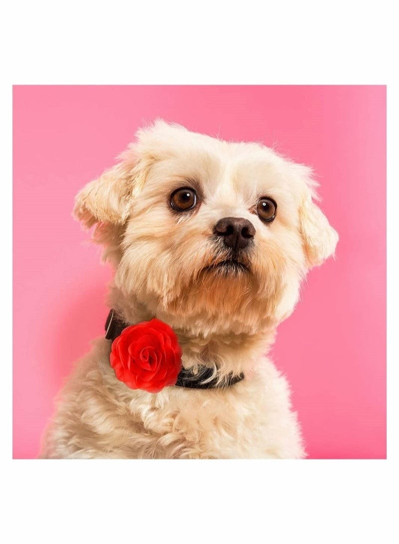 Loquat 4 Pieces Dog Collar Flowers Multicolored Bow Tie Dog Charms Flower Set for Valentine' s Day Dog Collar Cat Grooming Accessories (Red, Rose Red, Light Pink, Milk White) - Image 3