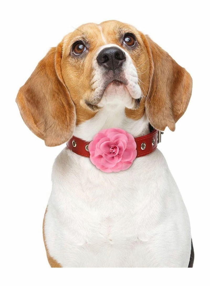 Loquat 4 Pieces Dog Collar Flowers Multicolored Bow Tie Dog Charms Flower Set for Valentine' s Day Dog Collar Cat Grooming Accessories (Red, Rose Red, Light Pink, Milk White) - Image 5