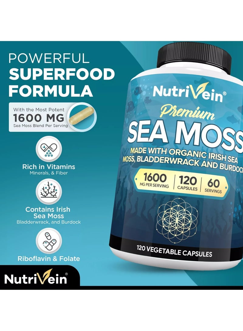 Nutrivein Premium Sea Moss 1600mg - 120 Vegetable Capsules - Image 3
