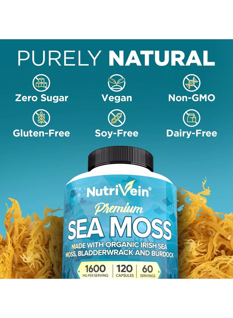 Nutrivein Premium Sea Moss 1600mg - 120 Vegetable Capsules - Image 5