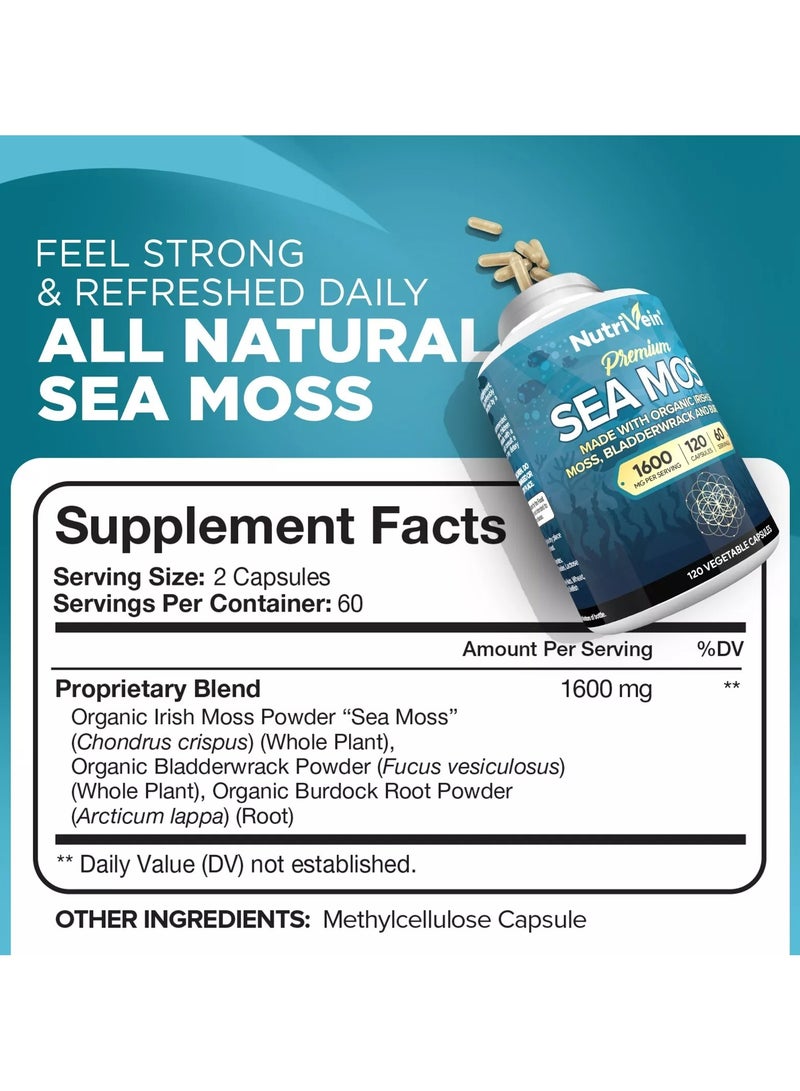 Nutrivein Premium Sea Moss 1600mg - 120 Vegetable Capsules - Image 2