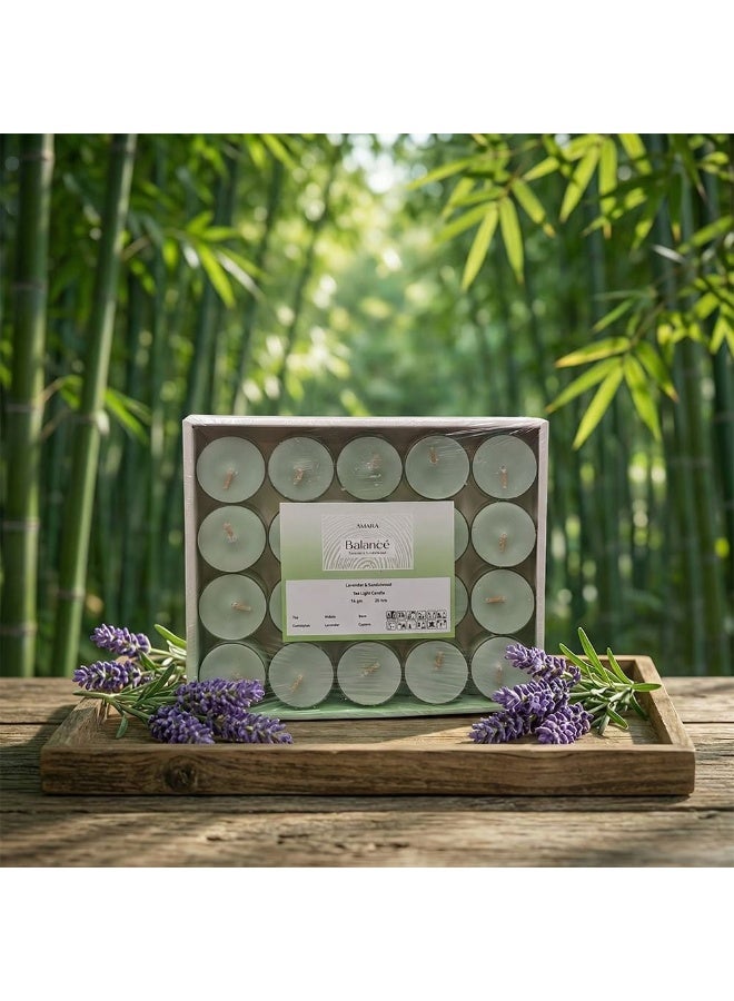 Amara Balance (14G) Lavender & Sandalwood Tea Light Candle - Image 1