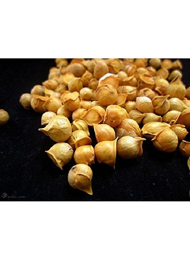 Allium Sativum Ayurveda 250g Snow Mountain Garlic Kashmiri Whole Free Shippi