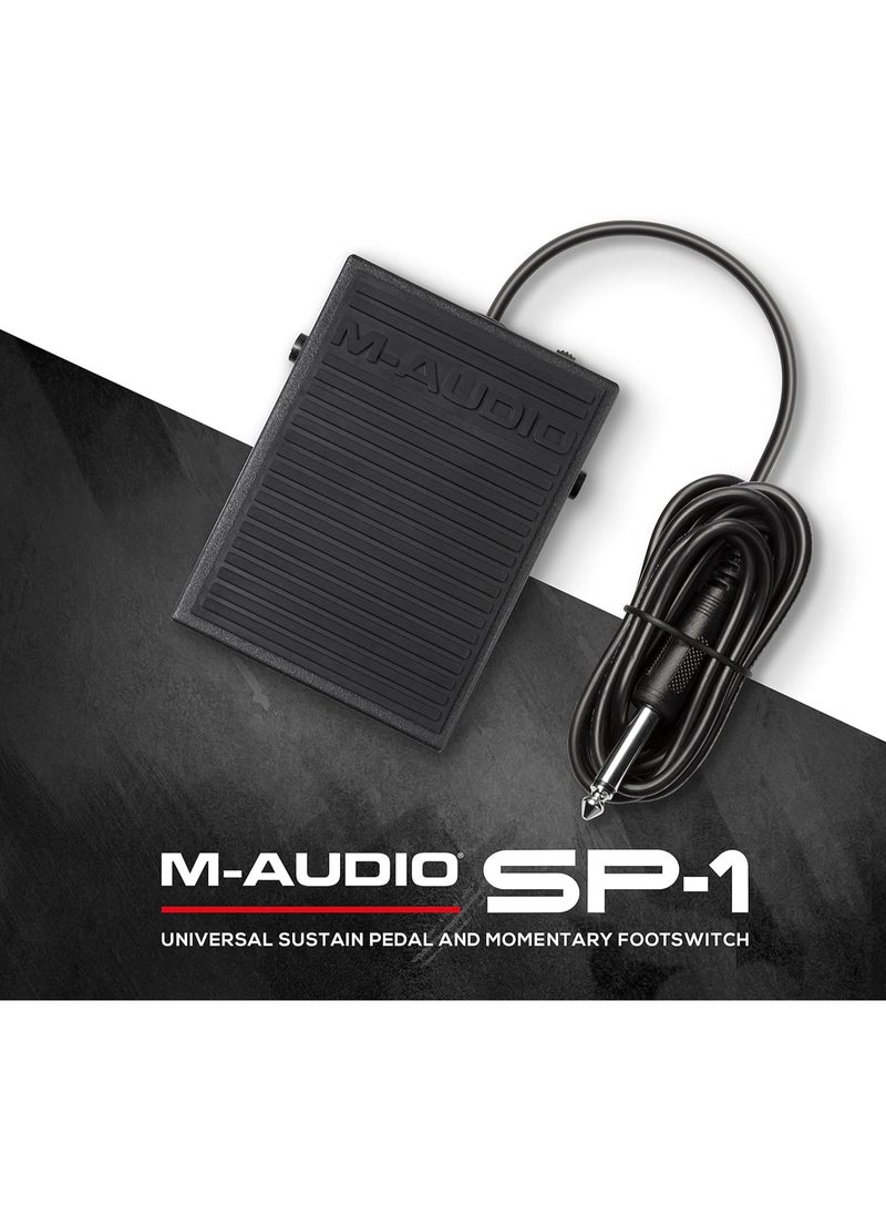 M-Audio M-Audio SP-1 | Universal Sustain Pedal For MIDI Keyboards, Digital Pianos, Electric Pianos & More  - Image 1