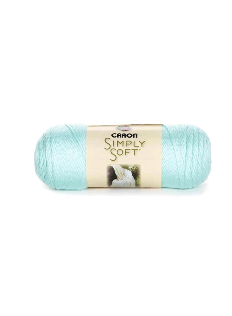 Caron Simply Soft Solids Yarn Soft Green - Image 3