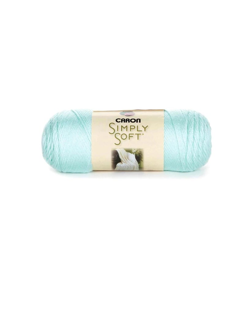 Caron Simply Soft Solids Yarn Soft Green - Image 2