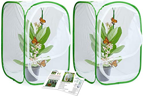 RESTCLOUD 24" Insect and Butterfly Habitat Monarch Butterfly Enclosure for Caterpillars Pop Up 24 Inches Tall Pack of 2 - Image 1
