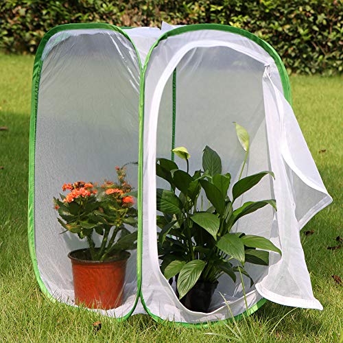 RESTCLOUD 24" Insect and Butterfly Habitat Monarch Butterfly Enclosure for Caterpillars Pop Up 24 Inches Tall Pack of 2 - Image 3