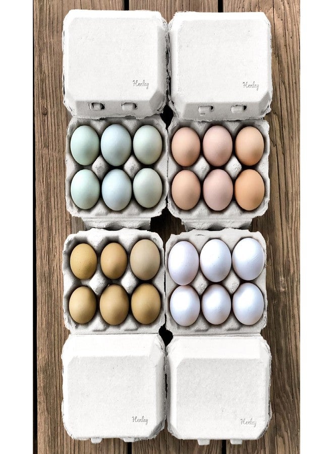 Henlay White Half Dozen Blank Egg Cartons - 6-Pack Flat Top Half-Dozen Holder, Recyclable Pulp, Ideal for Farm-Fresh Eggs, DIY Custom Labeling, Eco-Friendly Storage - 20 Pack - Image 1