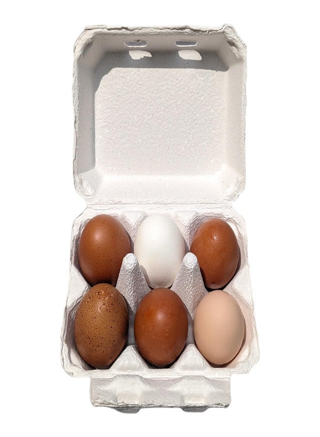 Henlay White Half Dozen Blank Egg Cartons - 6-Pack Flat Top Half-Dozen Holder, Recyclable Pulp, Ideal for Farm-Fresh Eggs, DIY Custom Labeling, Eco-Friendly Storage - 20 Pack - Image 2