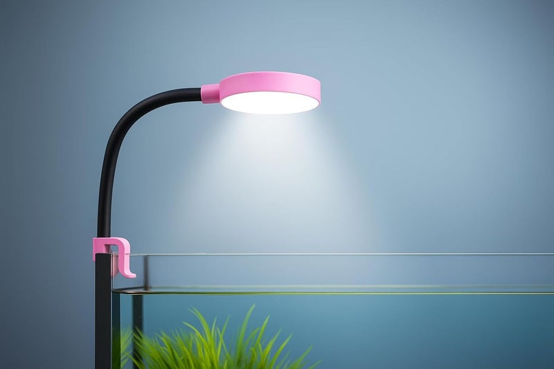 VAYINATO ® NEO N6 1 Pcs, (Random Color) 2.5W Ultra-Thin Mini Clip Lamp for Nano Tank & Fish Bowl Aquarium LED Light with 360° Flexible Neck, Bowl Light - Image 1