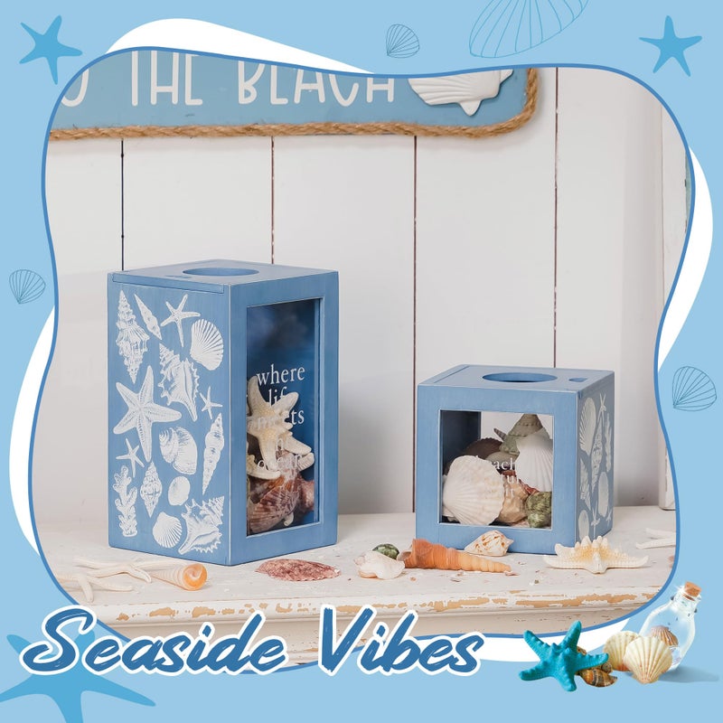 Synovana Seashell Holder Wooden Seashell Display Box Beach Coastal Decor Acrylic Sea Shell Display Holder Home Decor, 4.25 x 4.25 x 7.25 inches - Image 4
