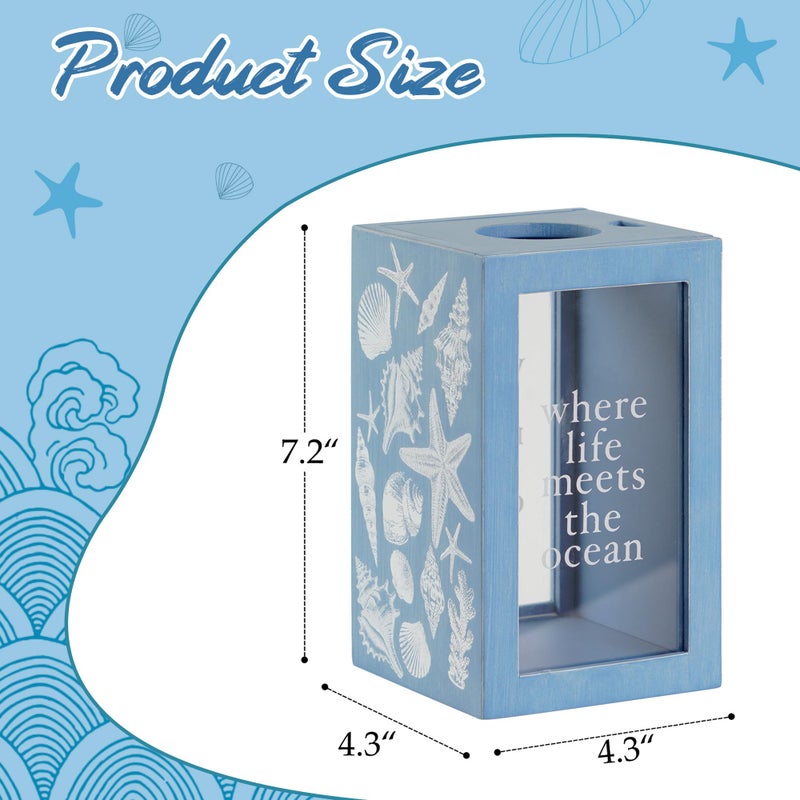 Synovana Seashell Holder Wooden Seashell Display Box Beach Coastal Decor Acrylic Sea Shell Display Holder Home Decor, 4.25 x 4.25 x 7.25 inches - Image 2