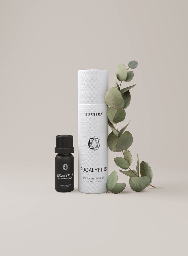Bursera Eucalyptus Essential Oil, Tree Planted with Every Order, 100% Pure Eucalyptus Oil, 10ml Undiluted High Grade Natural Eucalyptus Oils for Diffuser, Shower, Skin and Aromatherapy - Image 2