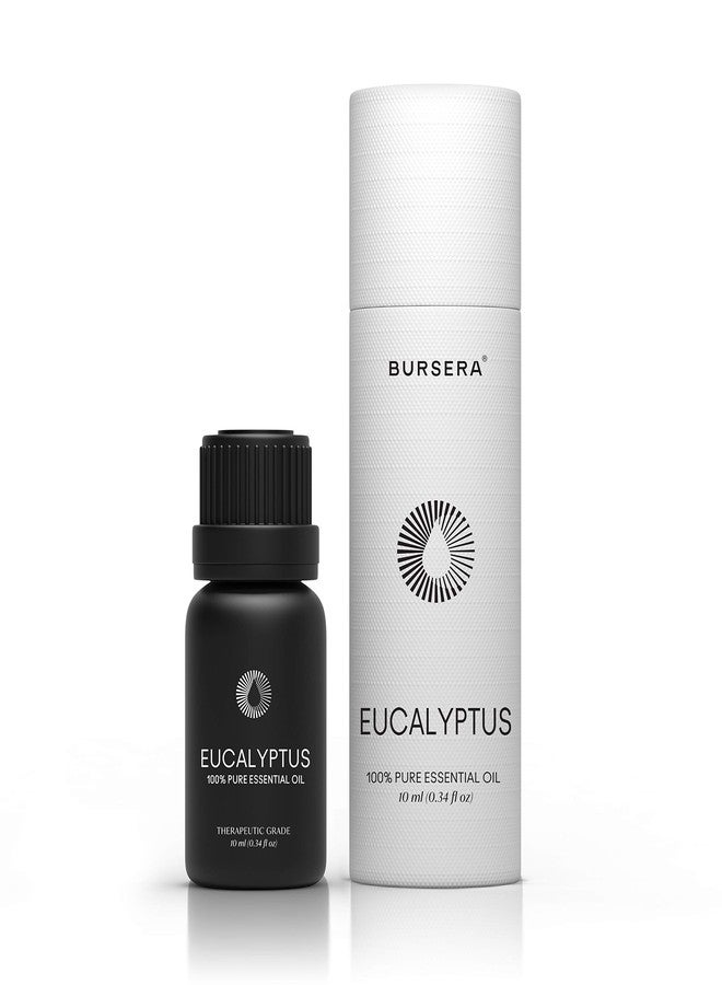 Bursera Eucalyptus Essential Oil, Tree Planted with Every Order, 100% Pure Eucalyptus Oil, 10ml Undiluted High Grade Natural Eucalyptus Oils for Diffuser, Shower, Skin and Aromatherapy - Image 1