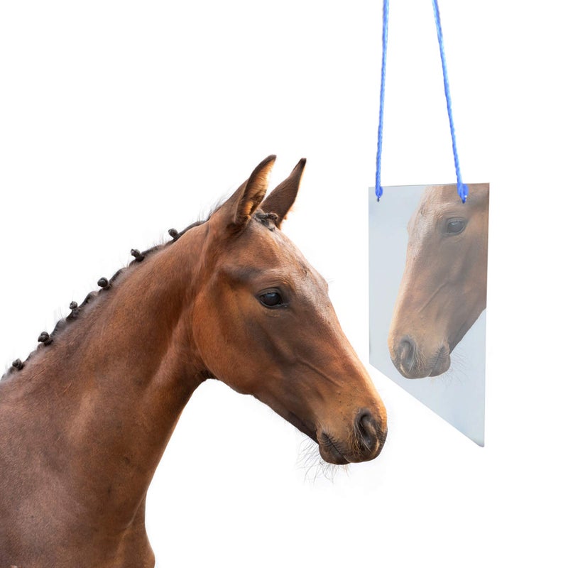 YUYUSO YUYUSO Horse Mirror Toy Hanging Pony Calming Mirror for Stable Barn Stall Toy Entertainment 