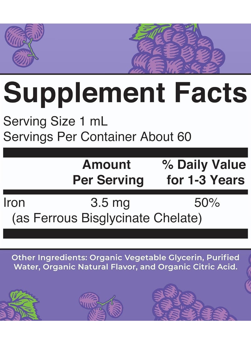 MaryRuth's - Toddler Iron Organic Liquid Drops, Grape, 2 fl oz - Image 1
