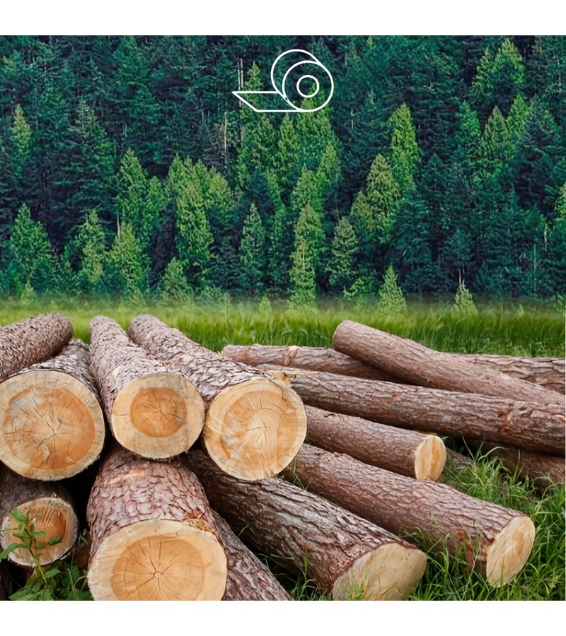 Original Wood Pulp 3 Rolls Black Toilet Paper Creative Printed Tissue Paper - Image 4