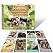 EDUMAETRIX Animal Go Fish Card Game with Fun Facts for Kids72 Cards Real Photo Animal Learning Playing Cards Memory Matching Games 28 Players Ages 48 and up Old Maid and Slap Jack - Image 2